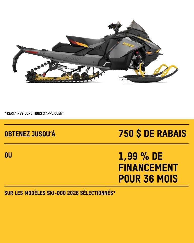Lynx Promotion