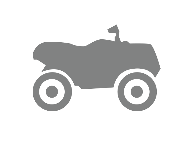 Can-Am DS 250 Black/Can Am Red 2023