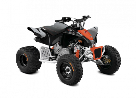 Can-Am DS 90 X 2020