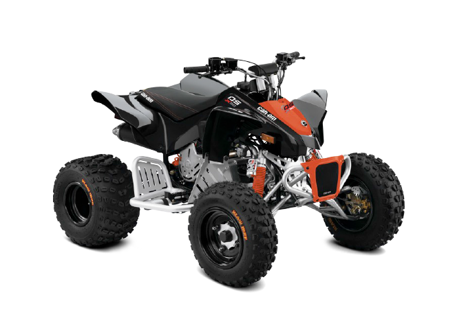 Can-Am DS 90 X 2020
