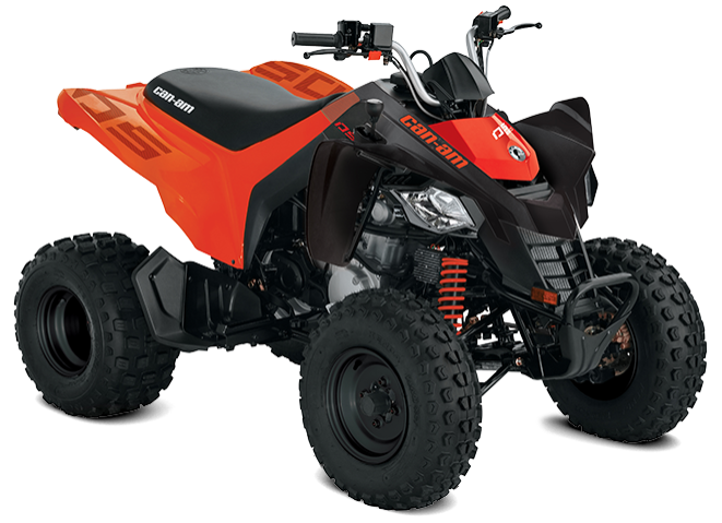 Can-Am DS 250 2020