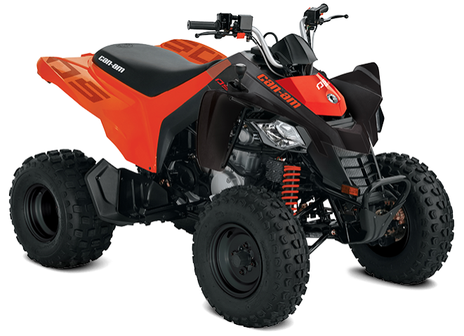 2020 Can-Am DS 250