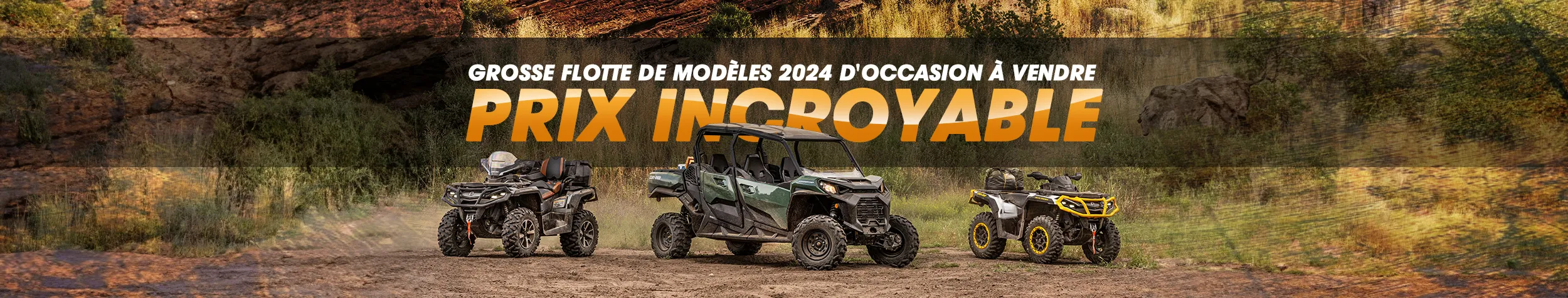 Grosse flotte de modèles 2024 d’occasion à vendre